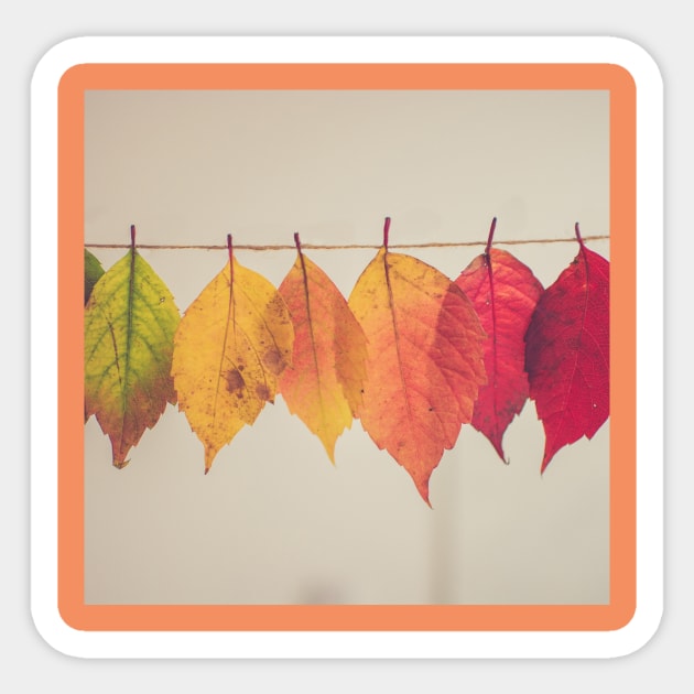 Autumnal leaves Sticker by 404PNW